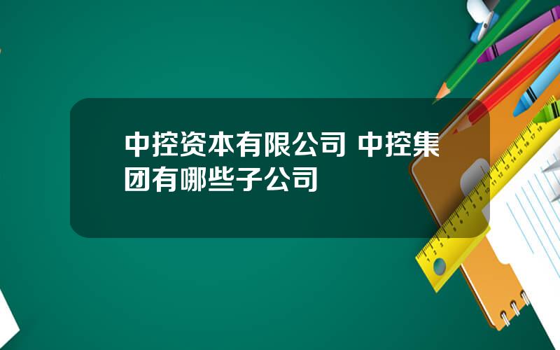 中控资本有限公司 中控集团有哪些子公司